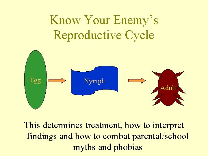 Know Your Enemy’s Reproductive Cycle Egg Nymph Adult This determines treatment, how to interpret