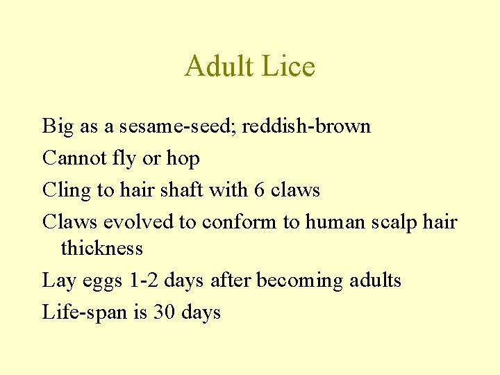 Adult Lice Big as a sesame-seed; reddish-brown Cannot fly or hop Cling to hair