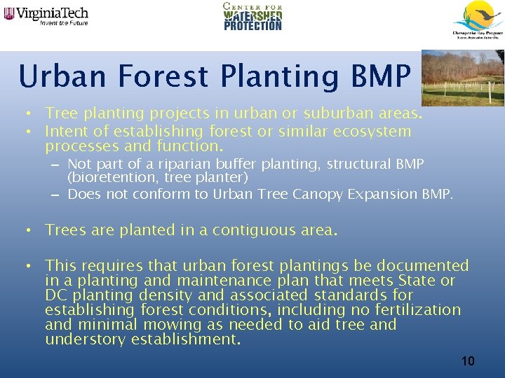 Urban Forest Planting BMP • Tree planting projects in urban or suburban areas. •