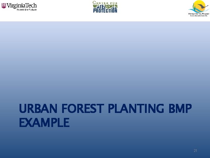 URBAN FOREST PLANTING BMP EXAMPLE 21 