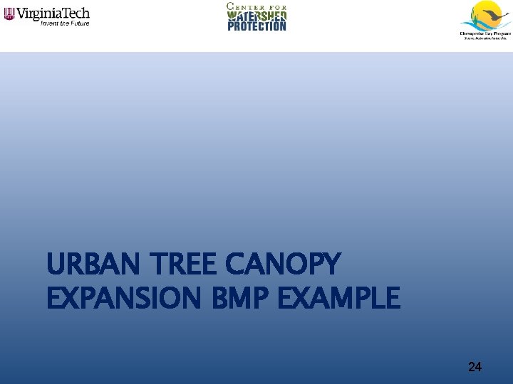 URBAN TREE CANOPY EXPANSION BMP EXAMPLE 24 