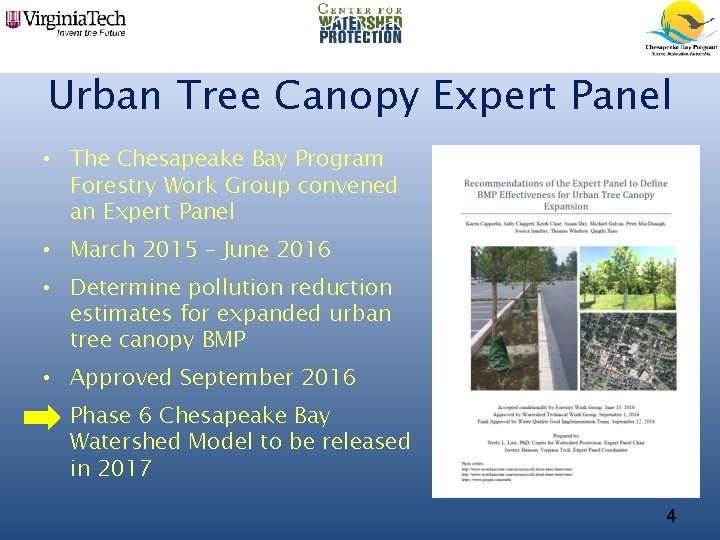 Urban Tree Canopy Expert Panel • The Chesapeake Bay Program Forestry Work Group convened