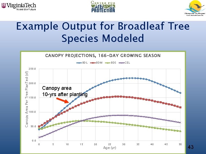 Example Output for Broadleaf Tree Species Modeled CANOPY PROJECTIONS, 166 -DAY GROWING SEASON BDL