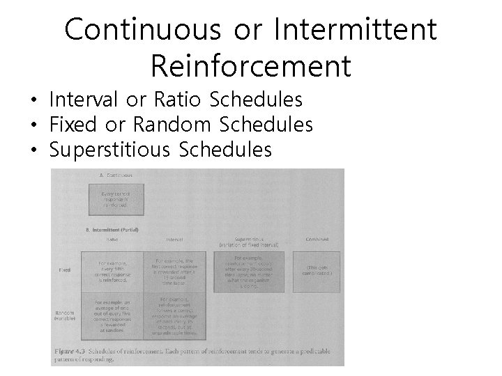 Continuous or Intermittent Reinforcement • Interval or Ratio Schedules • Fixed or Random Schedules