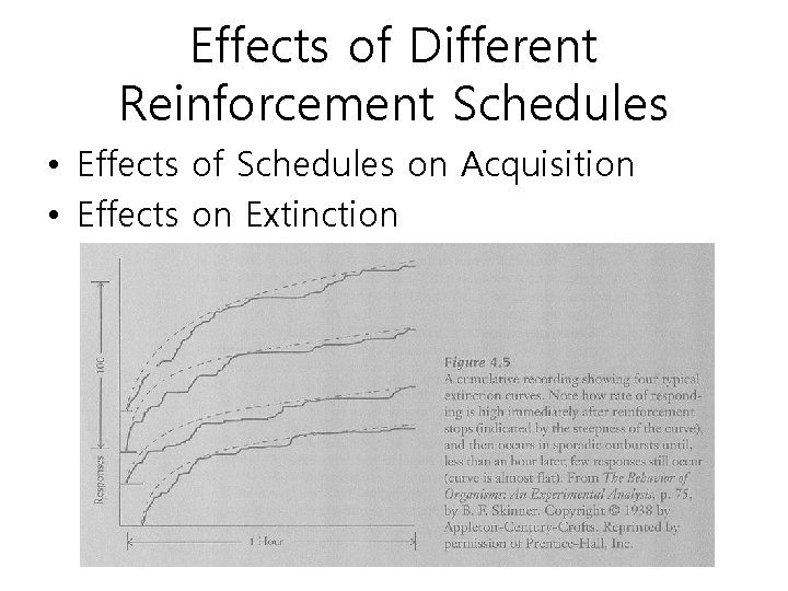 Effects of Different Reinforcement Schedules • Effects of Schedules on Acquisition • Effects on