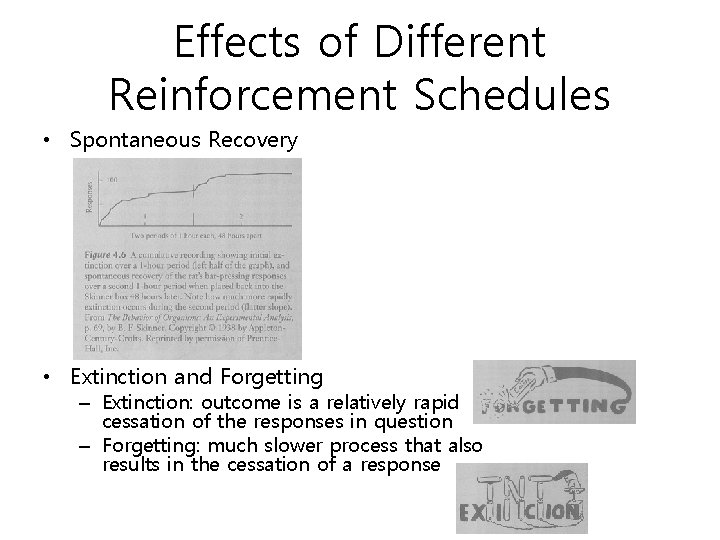 Effects of Different Reinforcement Schedules • Spontaneous Recovery • Extinction and Forgetting – Extinction: