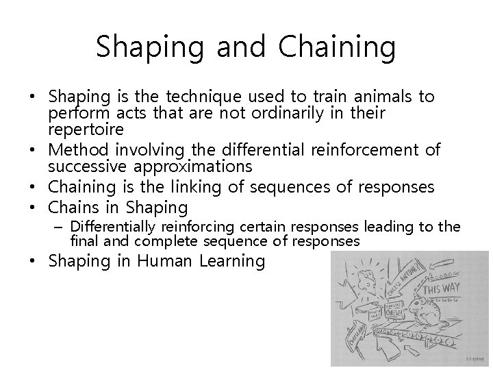 Shaping and Chaining • Shaping is the technique used to train animals to perform