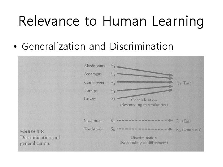 Relevance to Human Learning • Generalization and Discrimination 