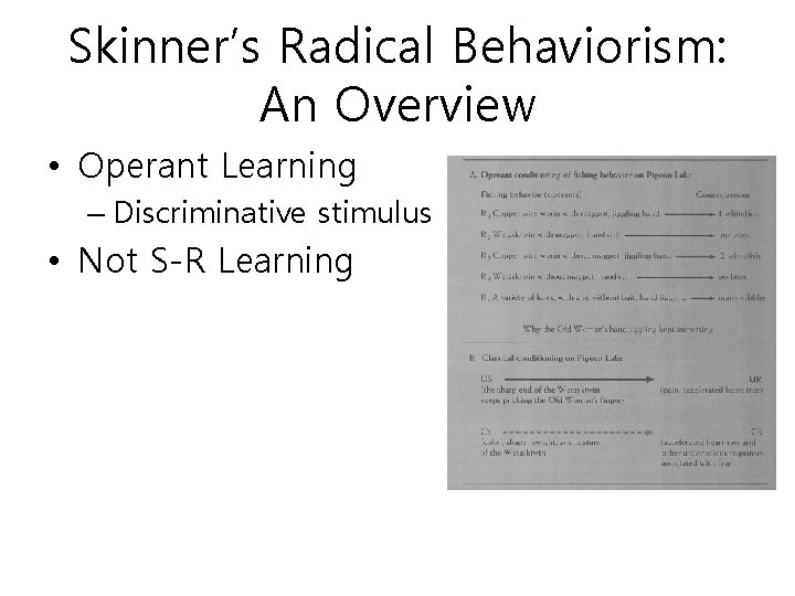 Skinner’s Radical Behaviorism: An Overview • Operant Learning – Discriminative stimulus • Not S-R