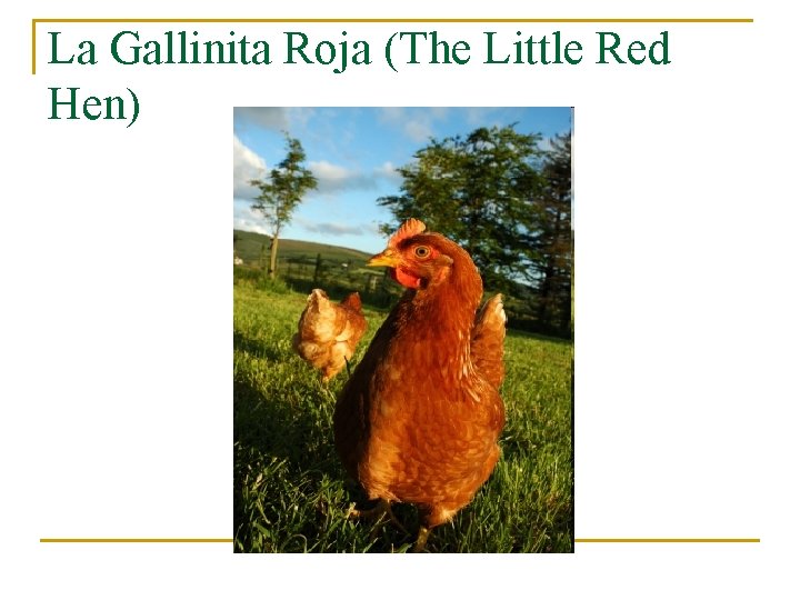 La Gallinita Roja (The Little Red Hen) 