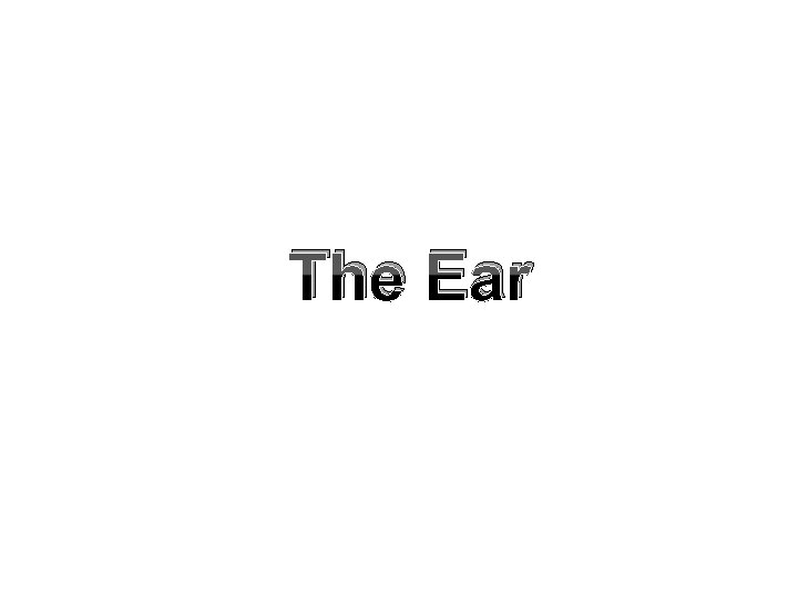 The Ear 