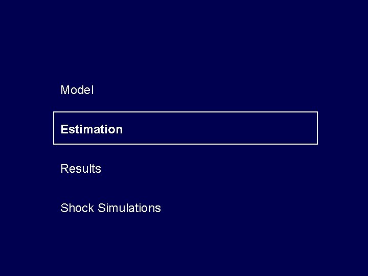 Model Estimation Results Shock Simulations 
