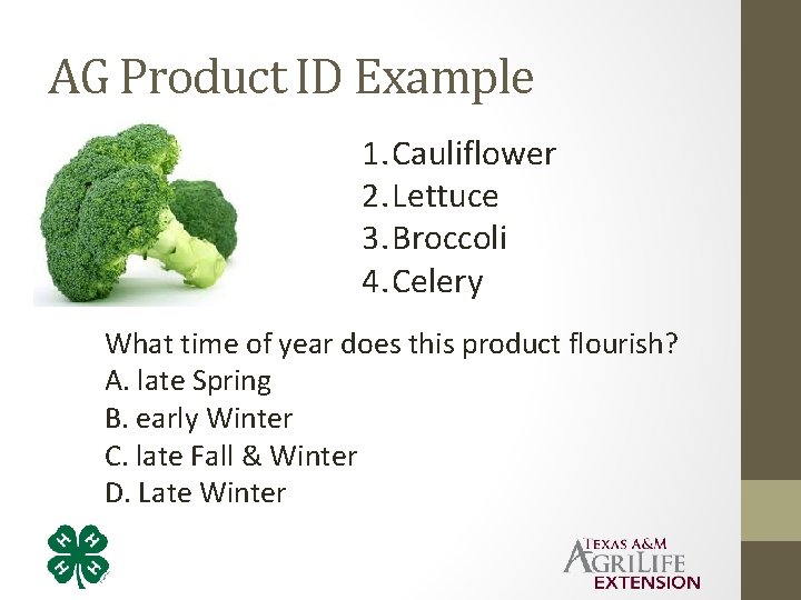 AG Product ID Example 1. Cauliflower 2. Lettuce 3. Broccoli 4. Celery What time