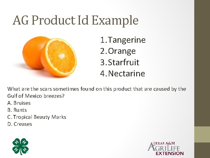 AG Product Id Example 1. Tangerine 2. Orange 3. Starfruit 4. Nectarine What are