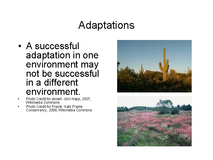 Adaptations • A successful adaptation in one environment may not be successful in a