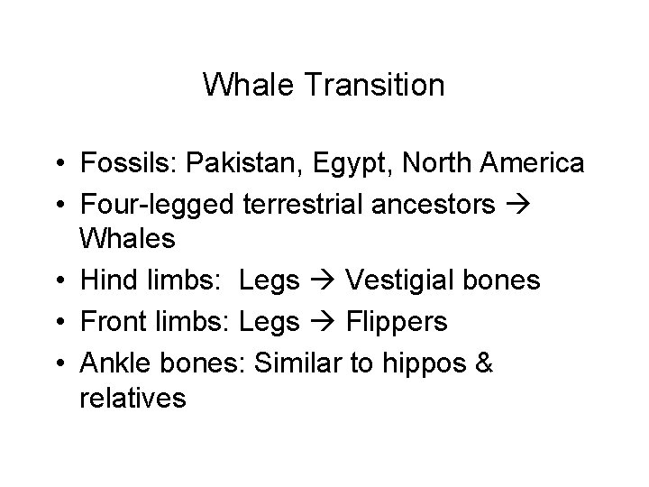 Whale Transition • Fossils: Pakistan, Egypt, North America • Four-legged terrestrial ancestors Whales •