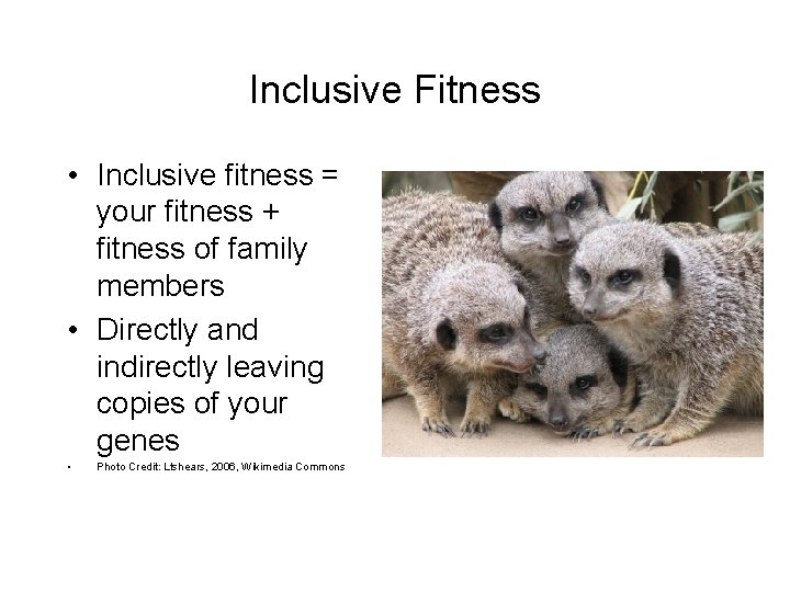 Inclusive Fitness • Inclusive fitness = your fitness + fitness of family members •