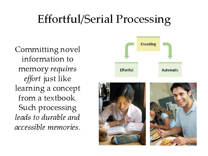 Effortful/Serial Processing Committing novel information to memory requires effort just like learning a concept