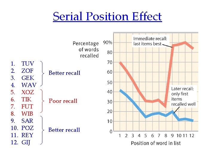 Serial Position Effect 1. 2. 3. 4. 5. 6. 7. 8. 9. 10. 11.