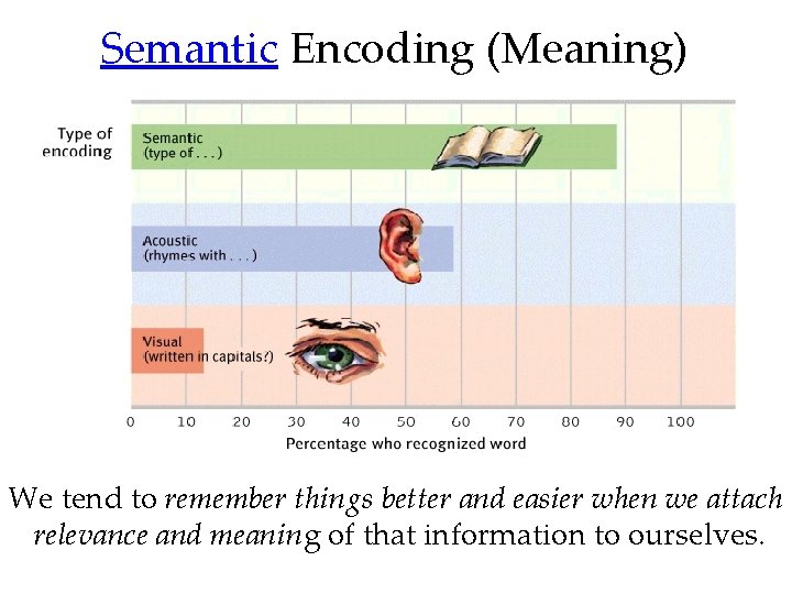 Semantic Encoding (Meaning) We tend to remember things better and easier when we attach