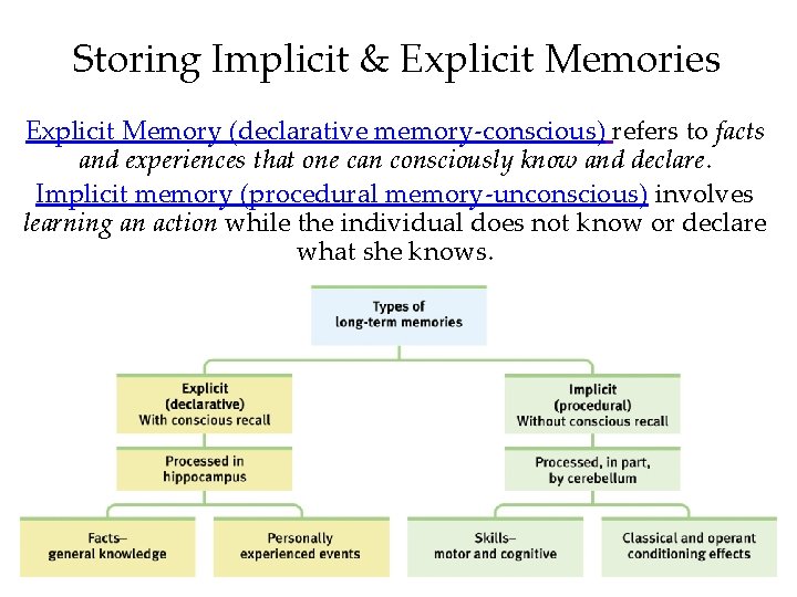 Storing Implicit & Explicit Memories Explicit Memory (declarative memory-conscious) refers to facts and experiences