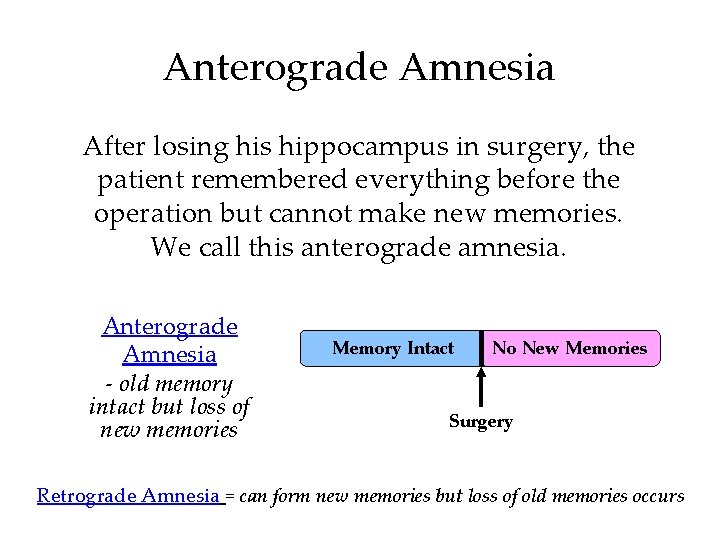 Anterograde Amnesia After losing his hippocampus in surgery, the patient remembered everything before the
