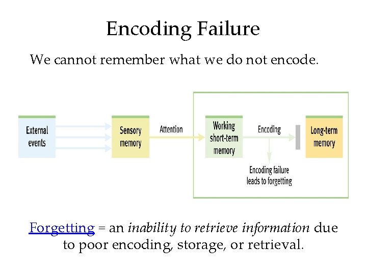 Encoding Failure We cannot remember what we do not encode. Forgetting = an inability