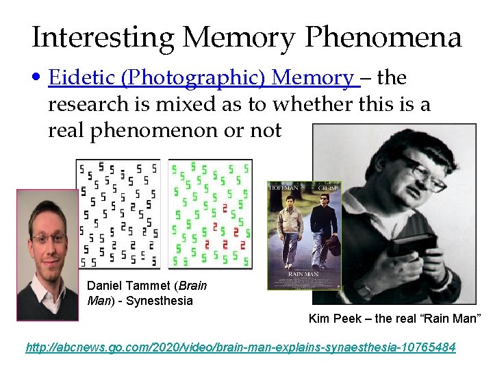 Interesting Memory Phenomena • Eidetic (Photographic) Memory – the research is mixed as to