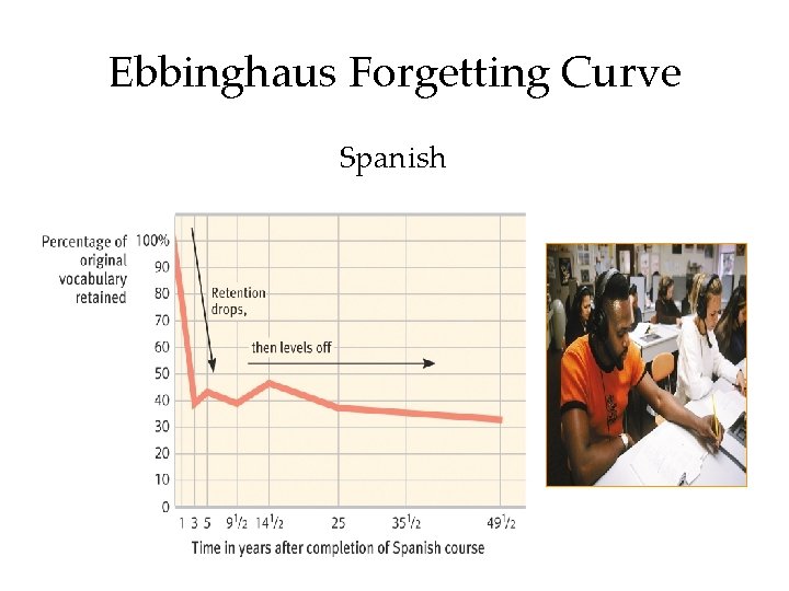 Ebbinghaus Forgetting Curve Spanish 