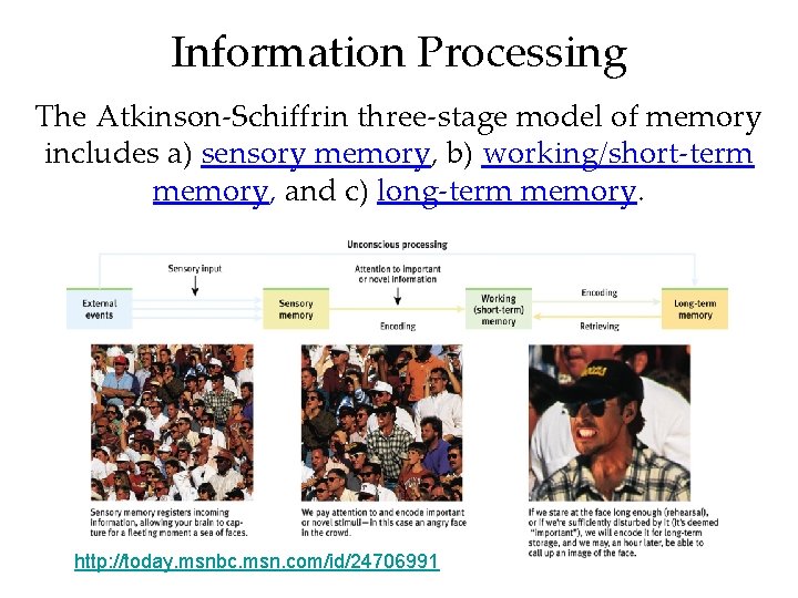 Information Processing The Atkinson-Schiffrin three-stage model of memory includes a) sensory memory, b) working/short-term