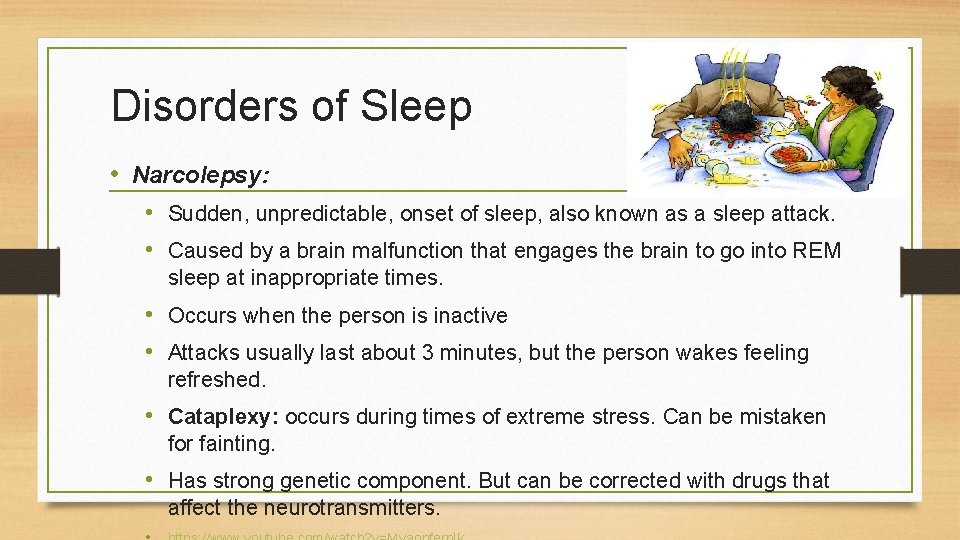 Disorders of Sleep • Narcolepsy: • Sudden, unpredictable, onset of sleep, also known as