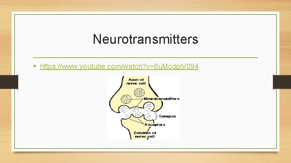 Neurotransmitters • https: //www. youtube. com/watch? v=6 u. Mcdpi. V 094 
