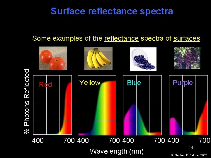 Surface reflectance spectra % Photons Reflected Some examples of the reflectance spectra of surfaces