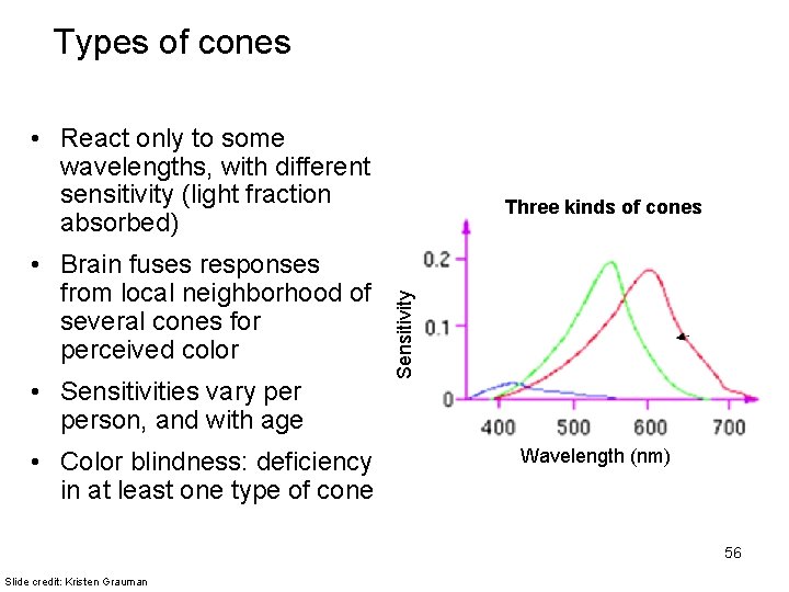 Types of cones • React only to some wavelengths, with different sensitivity (light fraction