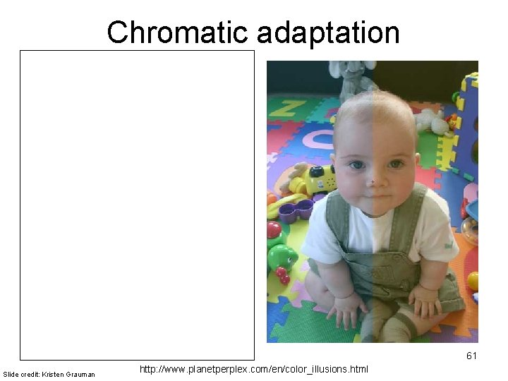 Chromatic adaptation 61 Slide credit: Kristen Grauman http: //www. planetperplex. com/en/color_illusions. html 