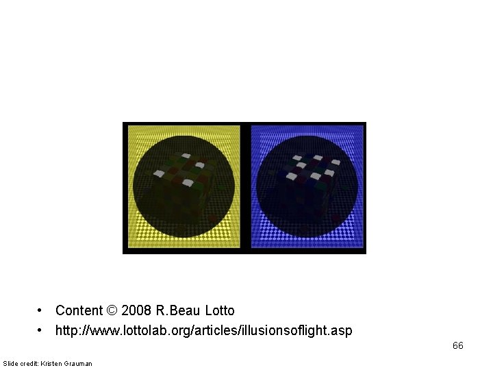  • Content © 2008 R. Beau Lotto • http: //www. lottolab. org/articles/illusionsoflight. asp