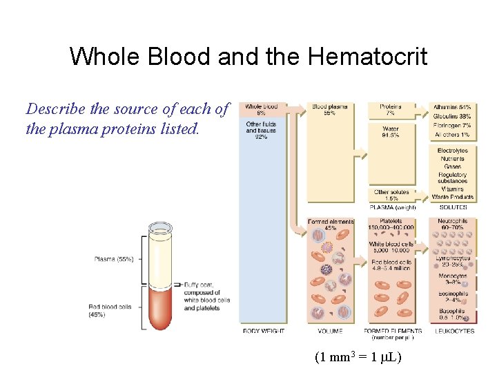Whole Blood and the Hematocrit Describe the source of each of the plasma proteins
