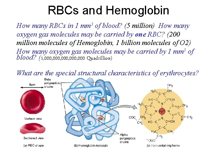 RBCs and Hemoglobin How many RBCs in 1 mm 3 of blood? (5 million)