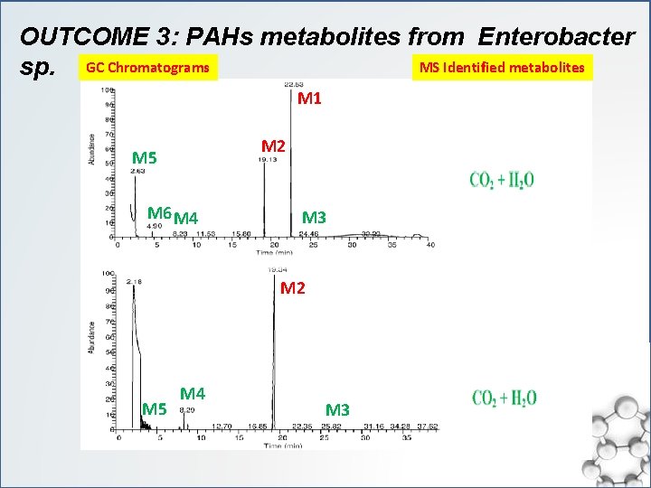 OUTCOME 3: PAHs metabolites from Enterobacter MS Identified metabolites sp. GC Chromatograms M 1