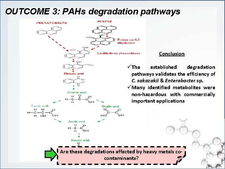 OUTCOME 3: PAHs degradation pathways Conclusion üThe established degradation pathways validates the efficiency of