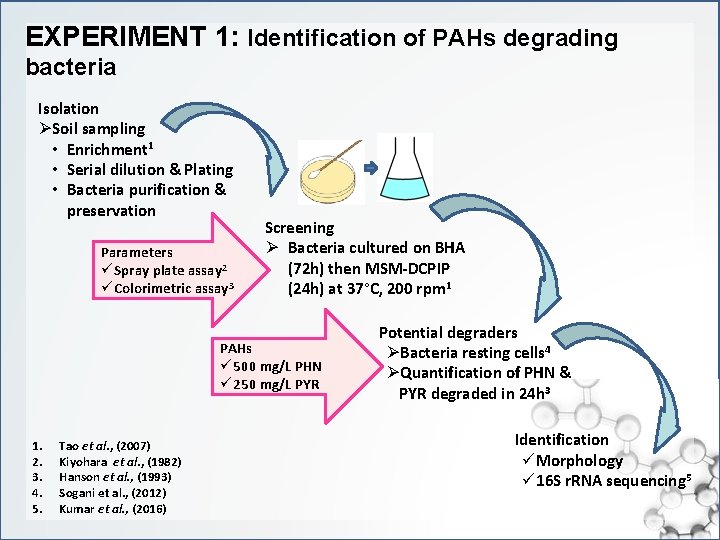 EXPERIMENT 1: Identification of PAHs degrading bacteria Isolation ØSoil sampling • Enrichment 1 •