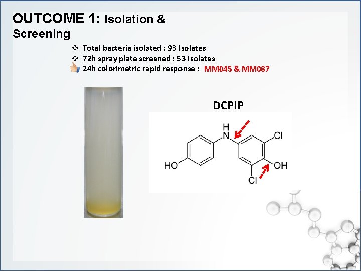 OUTCOME 1: Isolation & Screening v Total bacteria isolated : 93 Isolates v 72