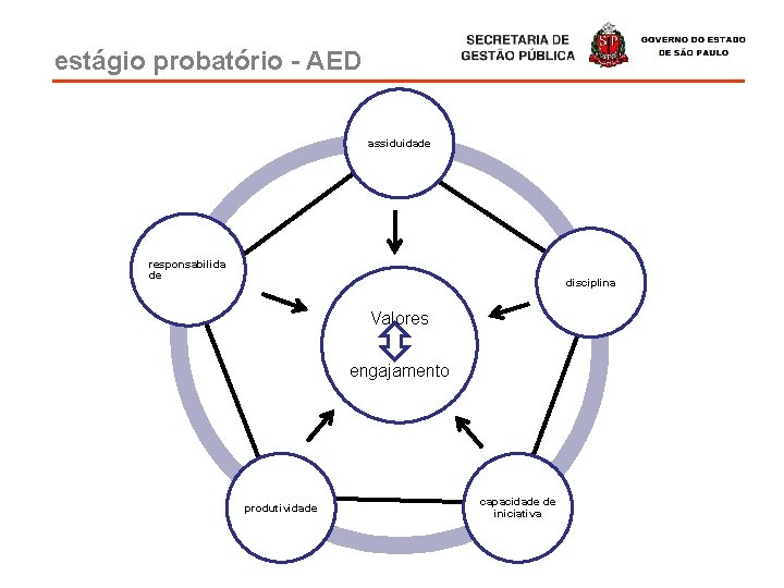 estágio probatório - AED assiduidade responsabilida de disciplina Valores engajamento produtividade capacidade de iniciativa