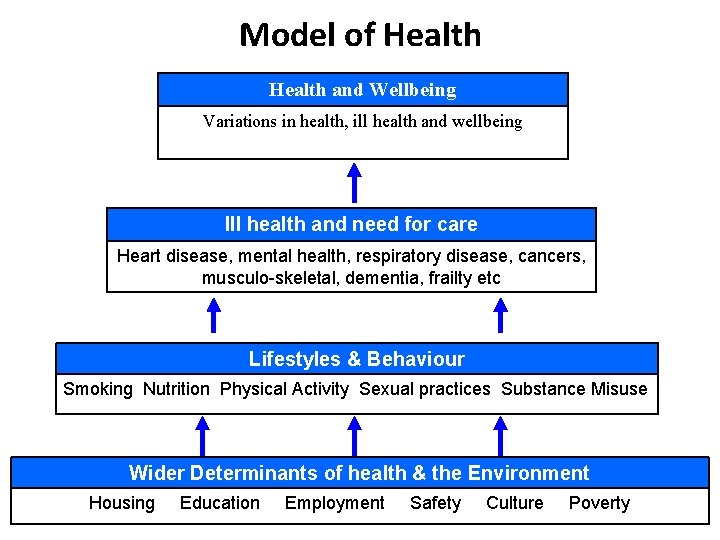Model of Health and Wellbeing Variations in health, ill health and wellbeing Ill health