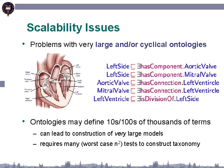 Scalability Issues • Problems with very large and/or cyclical ontologies • Ontologies may define