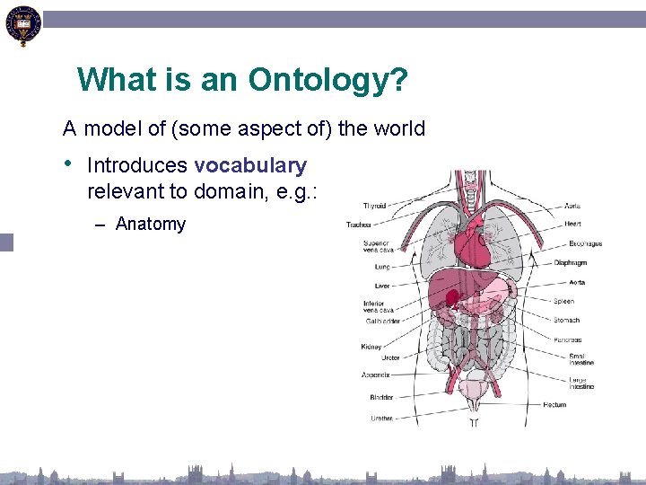 What is an Ontology? A model of (some aspect of) the world • Introduces