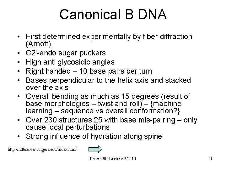 Canonical B DNA • First determined experimentally by fiber diffraction (Arnott) • C 2’-endo