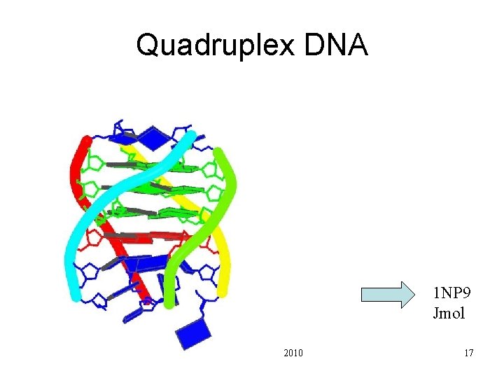 Quadruplex DNA 1 NP 9 Jmol Pharm 201 Lecture 2 2010 17 