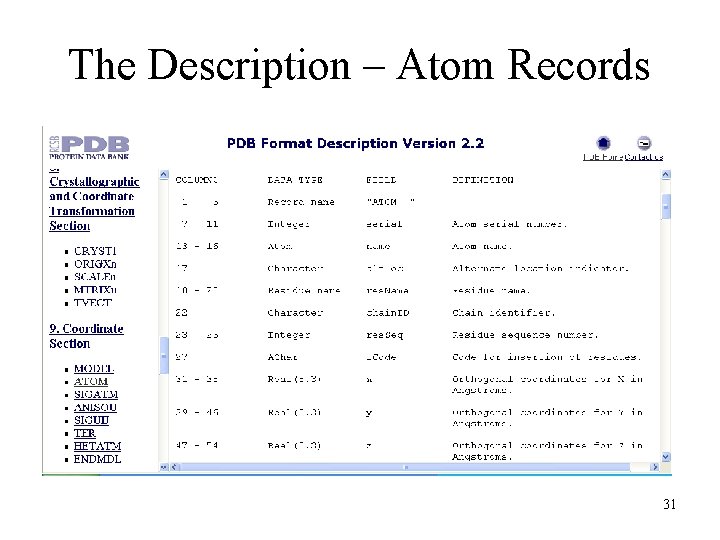 The Description – Atom Records 31 