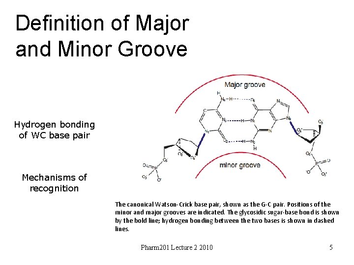 Definition of Major and Minor Groove Hydrogen bonding of WC base pair Mechanisms of
